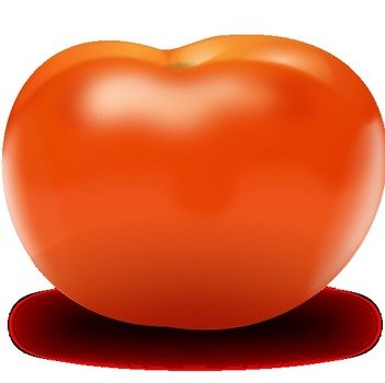 Enero 22 2012 Tomate