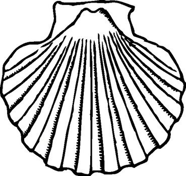 Shell Clip Art N10