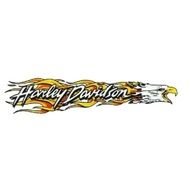 Harley Davidson Eagle Flame