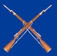 Crossed Drill Rifles