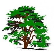 Rainforest Tree Clip Art N3