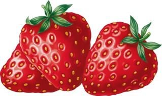 fresh Strawberry drawing