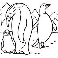 family of penguins as a graphic illustration