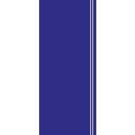 Custom Racing Stripes Decals N7