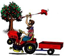 Texas Lawn Ranger Is Your Professional And