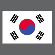 Korean Flag Icon This Is Your Indexhtml Page