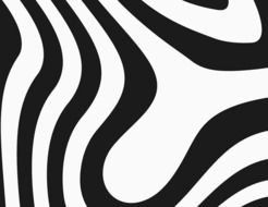 Zebra Print drawing