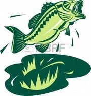 Largemouth Bass Cartoon N2