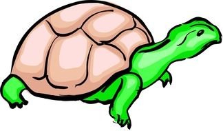 Clipart of Cartoon Turtle