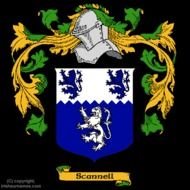 Irish Coats Of Arms Family Crests N2