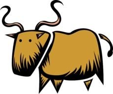 Bull By Horns Clip Art