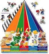 Food Pyramid N7