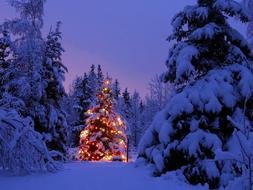 Christmas Scenes For Desktop