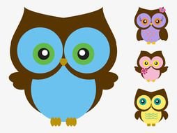 Ä°llustration of colorful Cartoon Owls