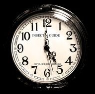 5 OClock