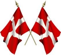 Dansk Flag N2