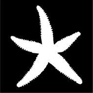 Starfish Silhouette Clip Art