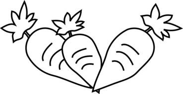 Carrot Clip Art Black And White drawing