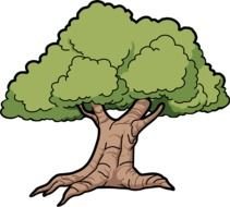 majestic green oak clipart