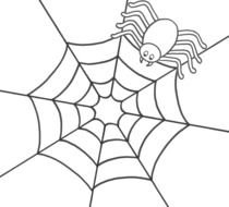 spider on a web as a graphic illustration