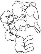 black and white picture of lambs for coloring