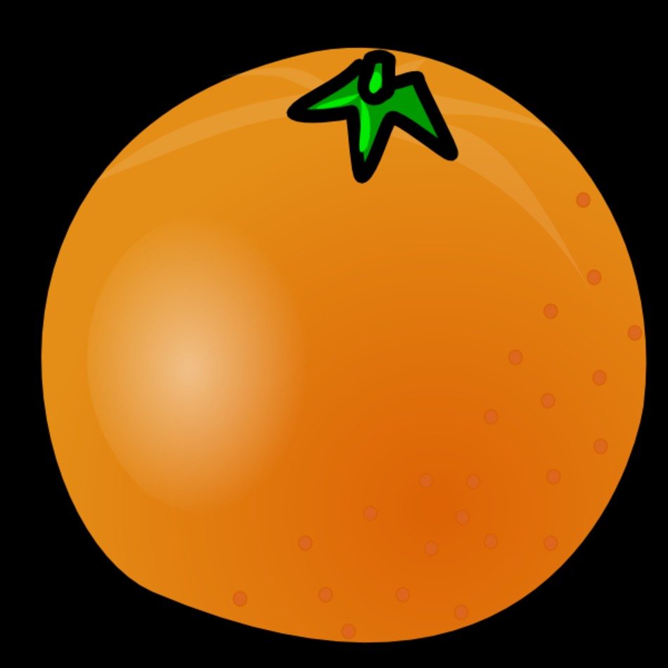 Cartoon Orange Clip Art N19