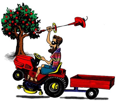 Texas Lawn Ranger Is Your Professional And