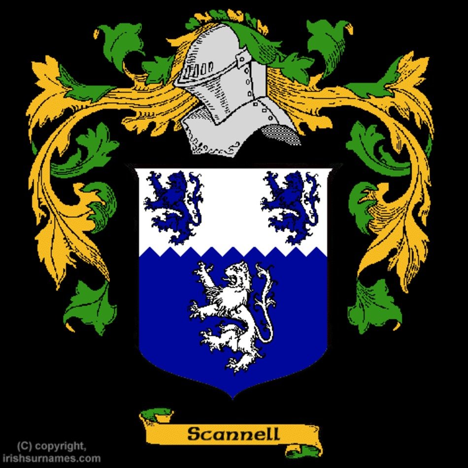 Irish Coats Of Arms Family Crests N2 free image download