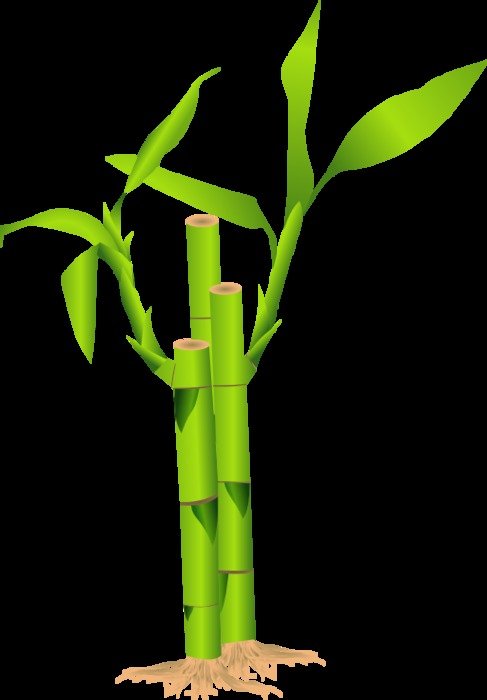 Bamboo Clip Art N28