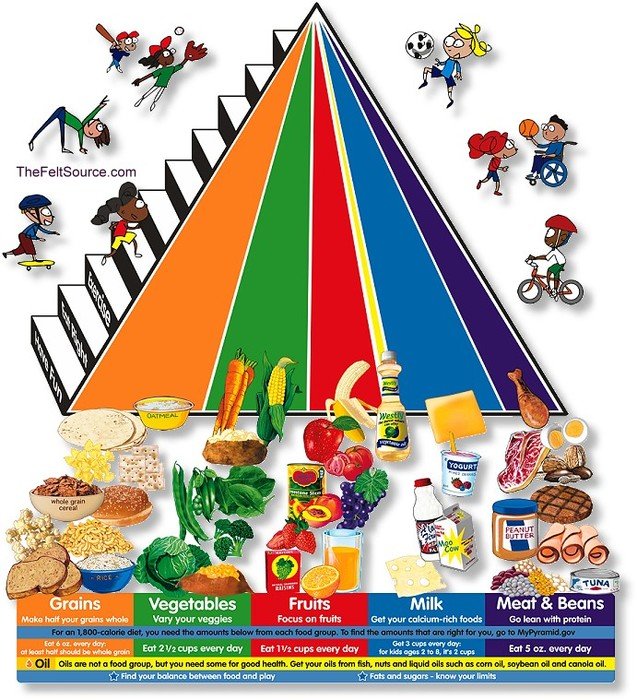 Food Pyramid N7