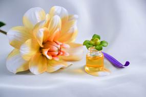 Oil and flower, Spa, Aromatherapy