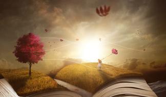 Book Landscape red forest drawing