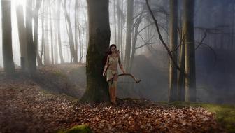 fantasy forest fairy tales drawing