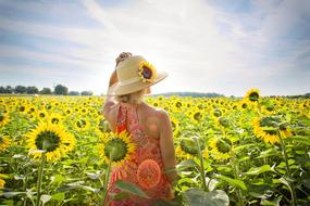 Woman in wide hat stands in Sunflower Field