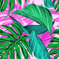 drawing of tropical greens monstera summer