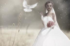 bride and white dove, collage