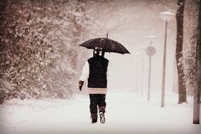 woman with umbrella under snowfall in a park