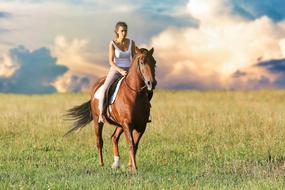 girl rides a horse on a pasture