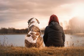 Girl, sitting with the colorful, cute and beautiful dog, on the shore, in light
