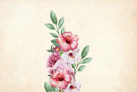flower floral background border drawing