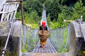 Woman on Bridge in nepal