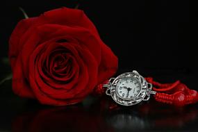 Watch and red Rose Bracelet