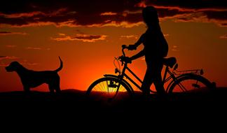 Girl on Bike and dog at sunset