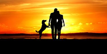 romantic couple with a dog at sunset