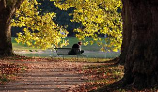 a lonely girl sits on a bench at the end of the alley in the park
