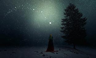 Winter Snowfall tree Woman