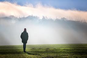 Fog Dawn