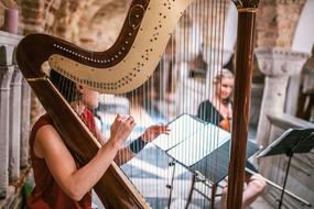 girl is playing the harp in the hall