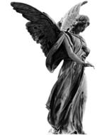 Beautiful angel statue on white background