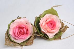 two pink roses in crepe paper